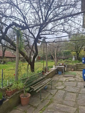 ����� ������� ����,�. ����� �����, ������ ����� ������