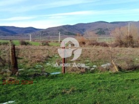 ����� ������� ������,�. �������, ������ ������