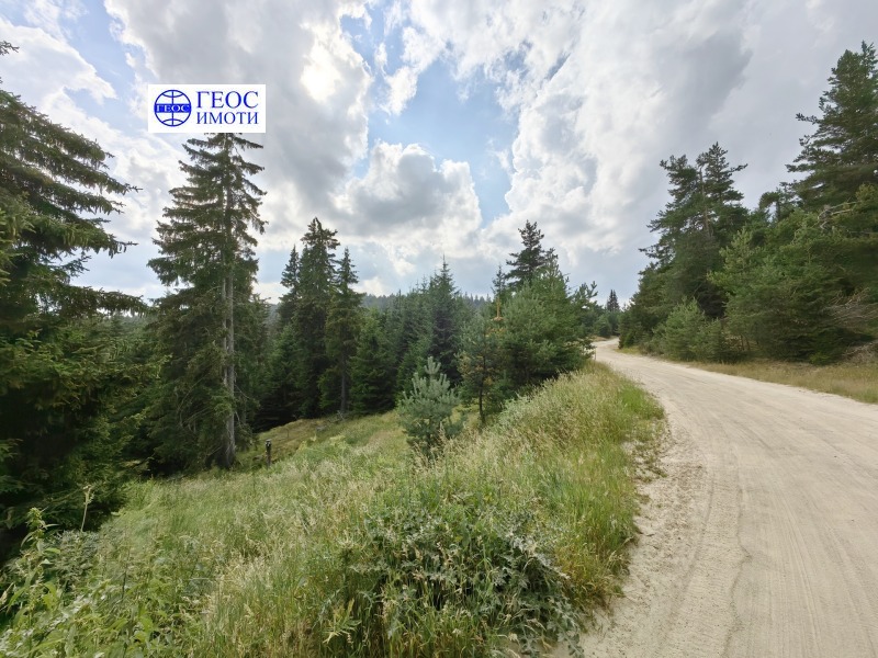 In vendita  Terra regione Smolyan , Kutela , 4.625 dka | 84118768