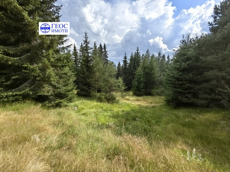 In vendita  Terra regione Smolyan , Kutela , 4.625 dka | 84118768 - Immagine [4]