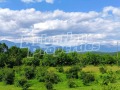 Продава КЪЩА, област Пловдив, с. Мраченик • 65000 € • 93641792 — Holmes.bg