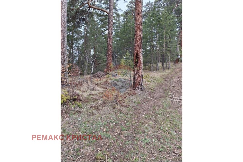 ������� ������ | Imot.bg � ����������� 4