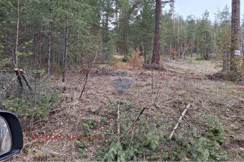 ������� ������ | Imot.bg � ����������� 5