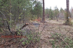 ������� ������ | Imot.bg � ����� ������ 2