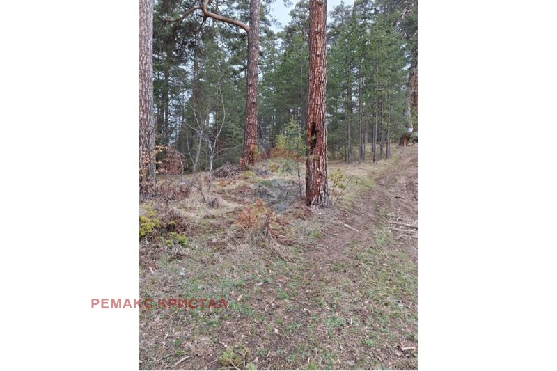 Продава ПАРЦЕЛ, гр. Батак, област Пазарджик, снимка 4 - Парцели - 53590233