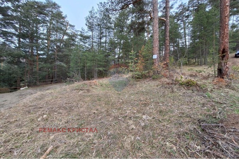 Продава ПАРЦЕЛ, гр. Батак, област Пазарджик, снимка 3 - Парцели - 53590233