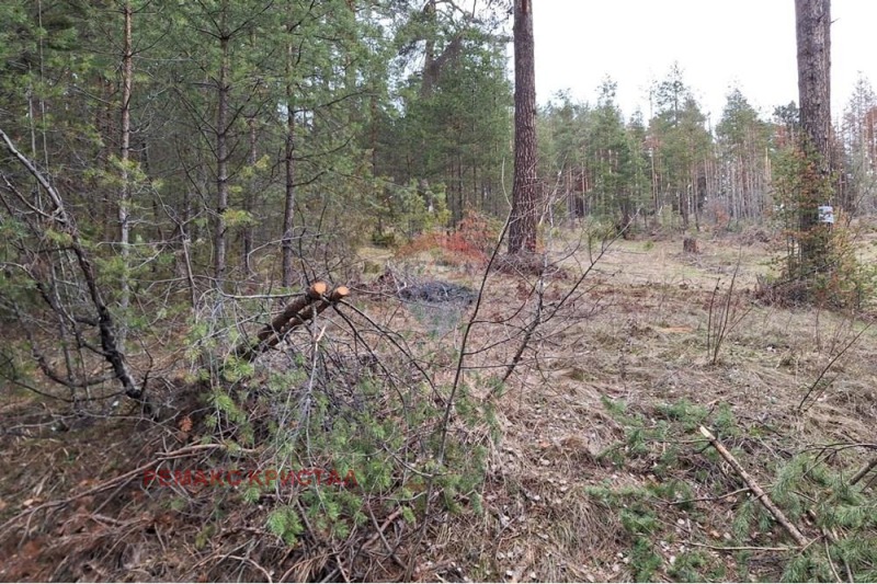 Продава ПАРЦЕЛ, гр. Батак, област Пазарджик, снимка 2 - Парцели - 53590233