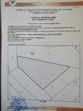 Продава  Земеделска земя област София , с. Плана , 12 дка | 95632098 - изображение [2]