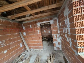 ������ ������� ����