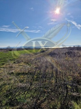 ������ ������� ������