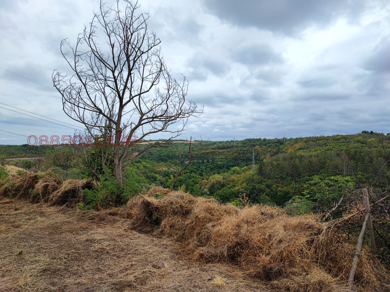 Продава ПАРЦЕЛ, гр. Плевен, м-т Плочата, снимка 12 - Парцели - 53133804