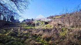 ����� ������� ������,���� ���������, ����� ����