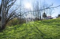 Продава ПАРЦЕЛ, гр. Търговище, Вилна зона, снимка 3