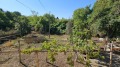 Продава КЪЩА, област Ловеч, с. Гостиня • 47000 € • 82927587 — Holmes.bg