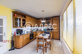 ����� ������� ����������,���� �����, �������