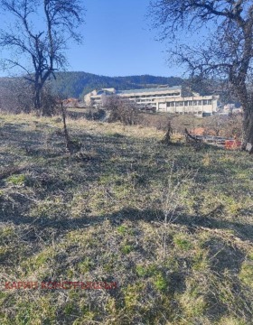 ����� ������� ������,��. ��������, ������ ������