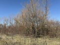 Продава ПАРЦЕЛ, област Враца, с. Нефела • 35000 лв. • 47777470 — Holmes.bg