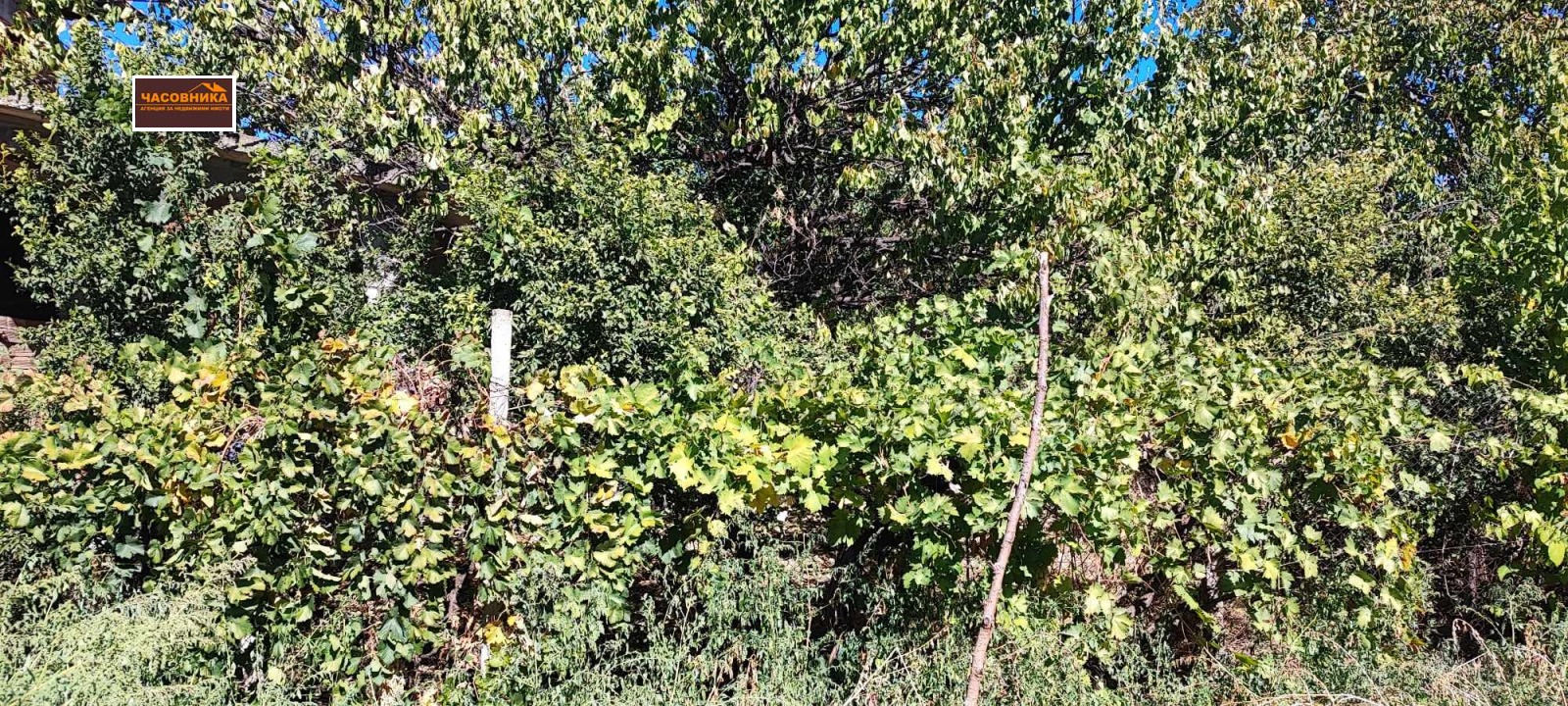 Продава КЪЩА | Imot.bg — изображение 5