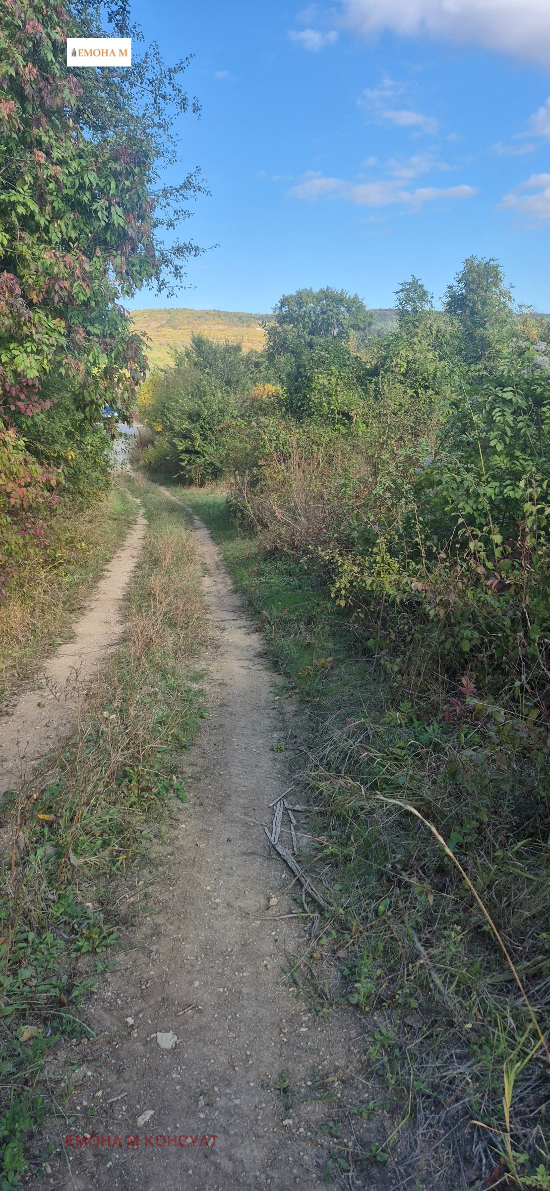 ������� ������ | Imot.bg � ����������� 3