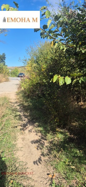 ������� ������ | Imot.bg � ����� ������ 2
