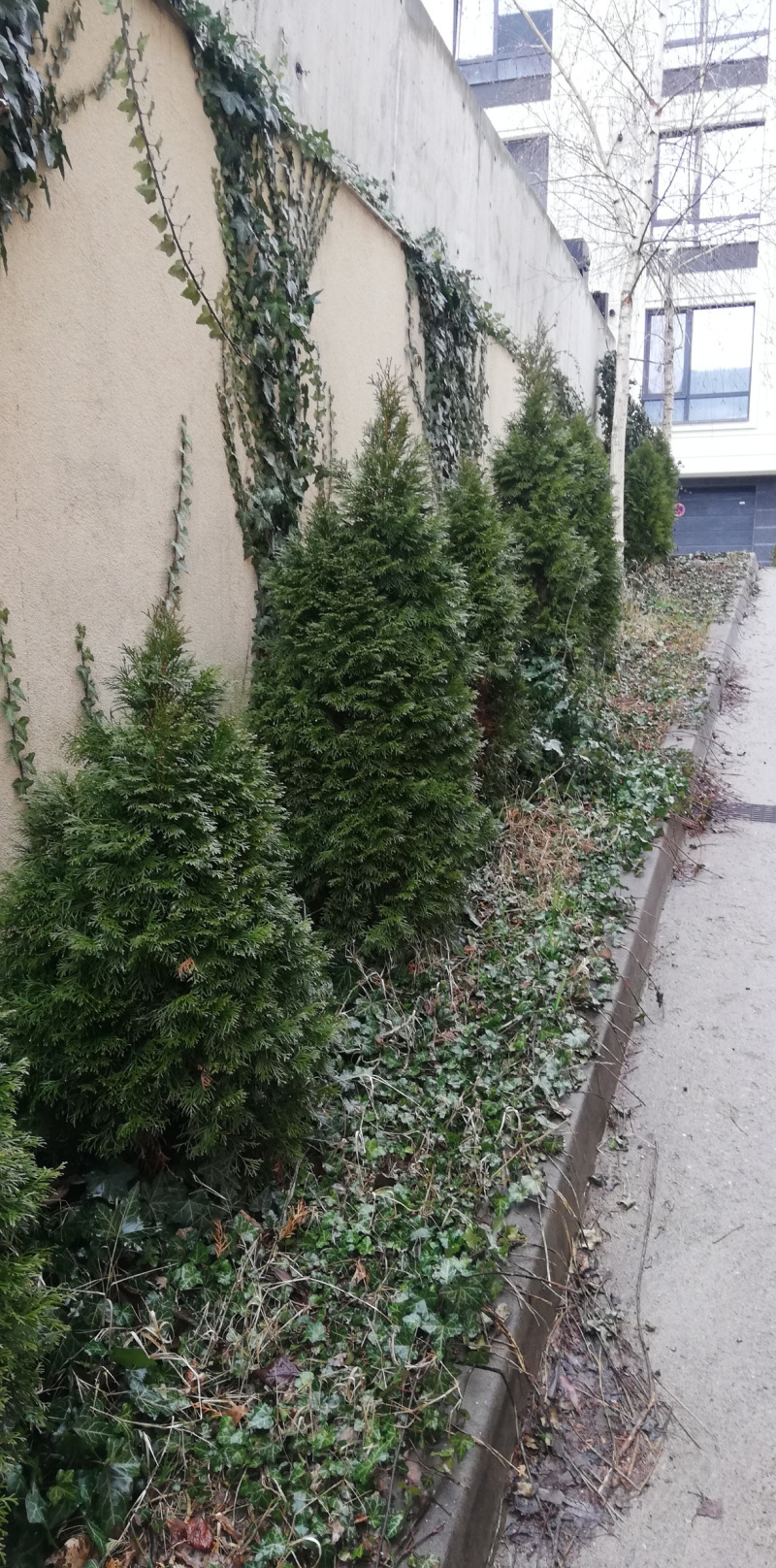 Продава 2-СТАЕН в град София, Манастирски ливади - 82 кв.м / 215 000 € » 420 503.45 лв., АГЕНЦИЯ ДОМ ОТ ЗОРА