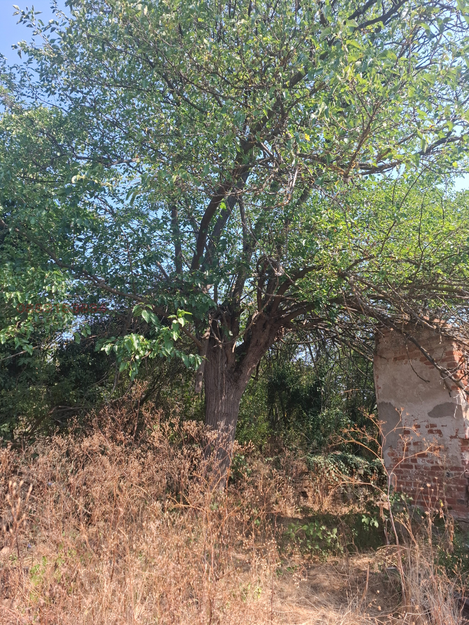 ������� ���� | Imot.bg � ����������� 8
