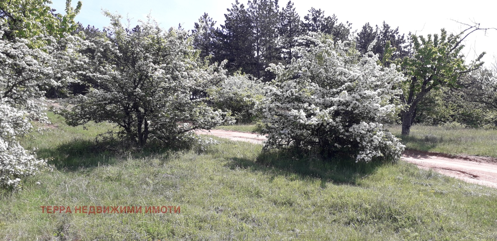 ������� ������ | Imot.bg � ����������� 2