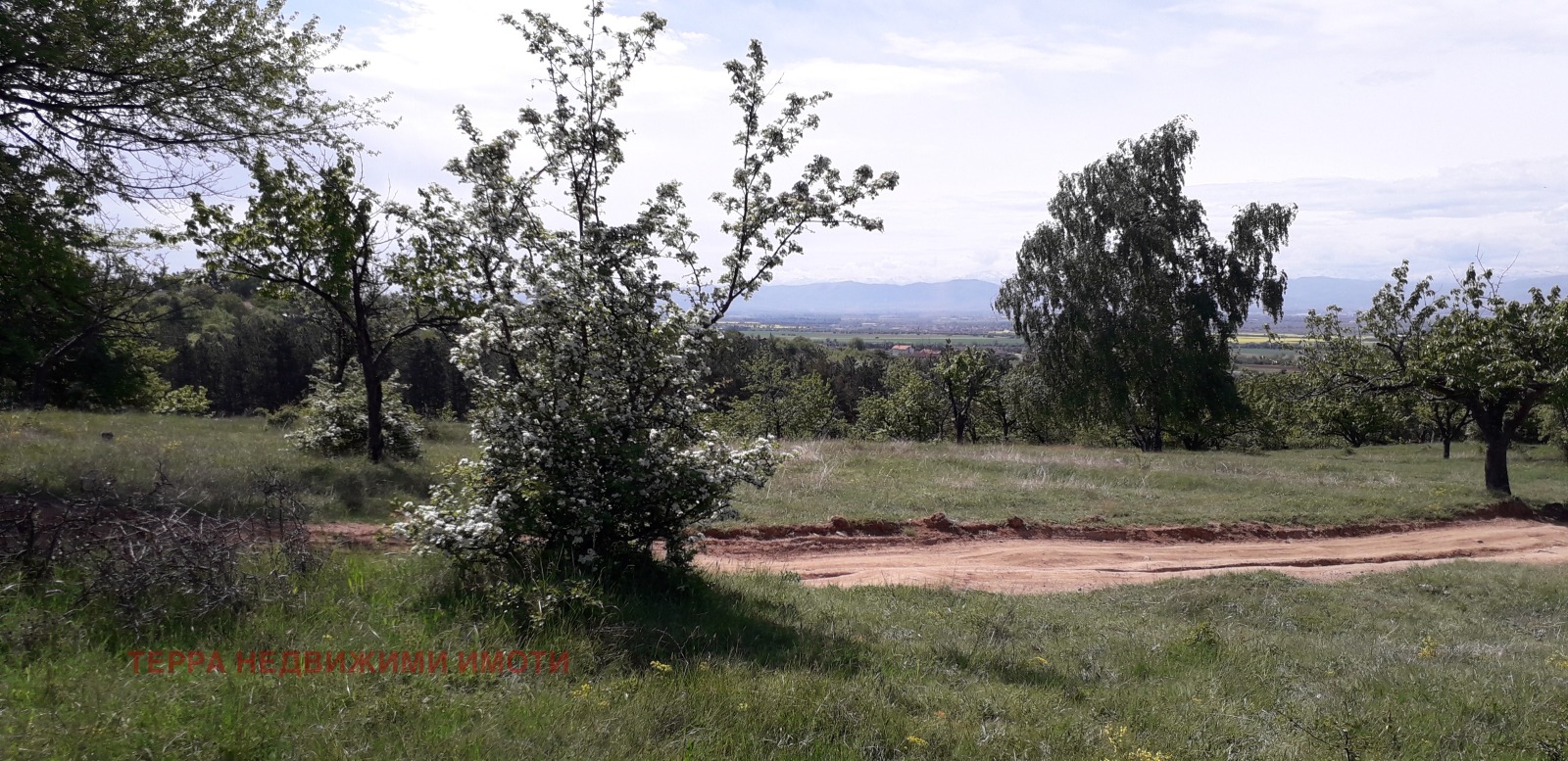 ������� ������ | Imot.bg � ����������� 3