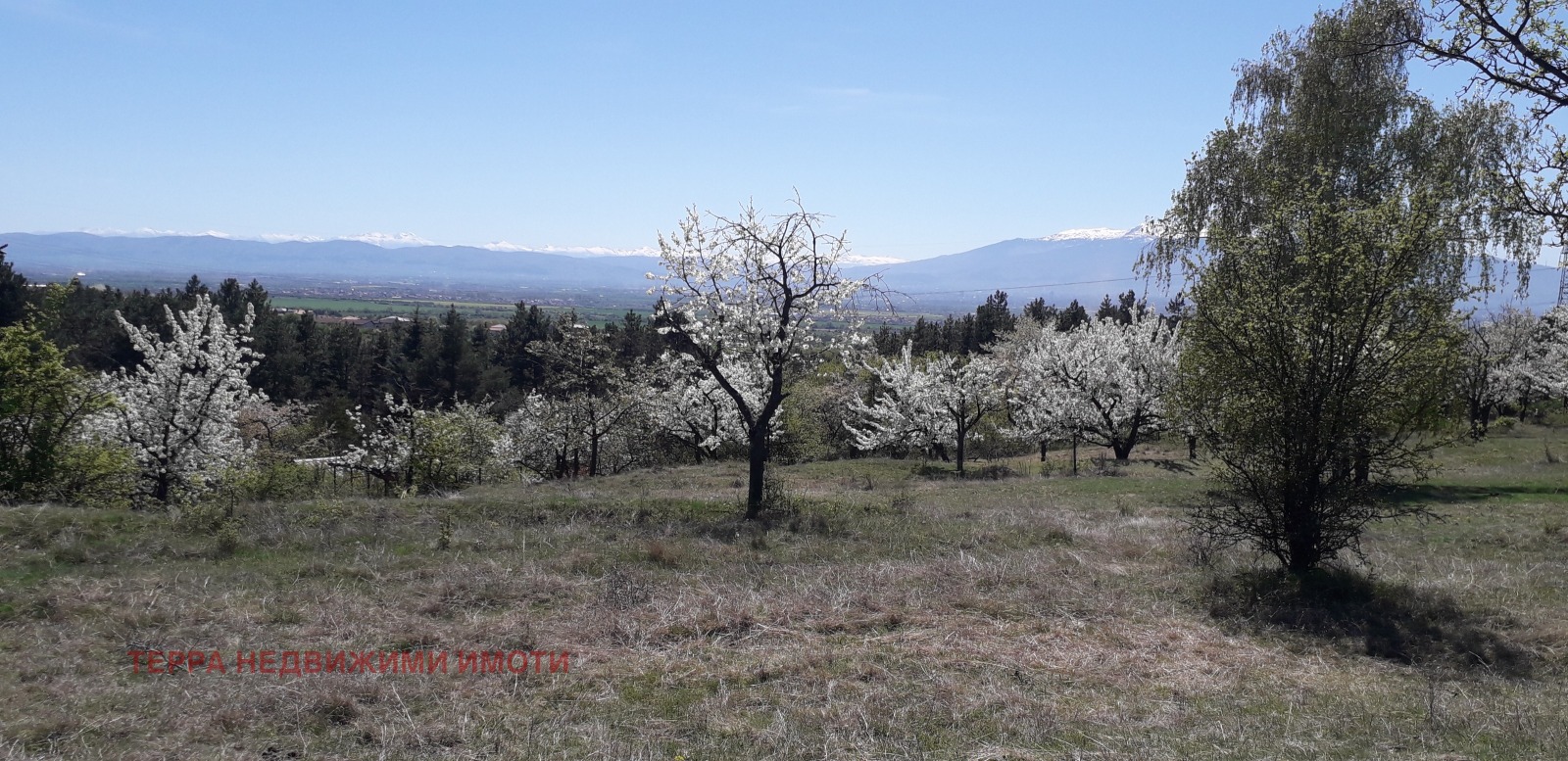 ������� ������ | Imot.bg � ����������� 1