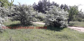 ������ ������� ������