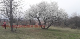 ������� ������ | Imot.bg � ����� ������ 5