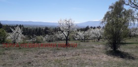 ������ ������� ������