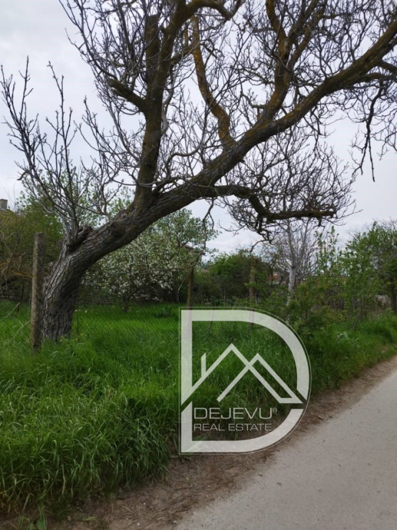 Продава  Парцел, област Варна, с. Кичево • 42 000 EUR • ID 47570311 — holmes.bg - [1] 