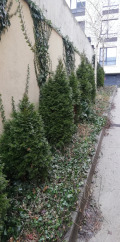 Продава 2-СТАЕН, гр. София, Манастирски ливади, снимка 2