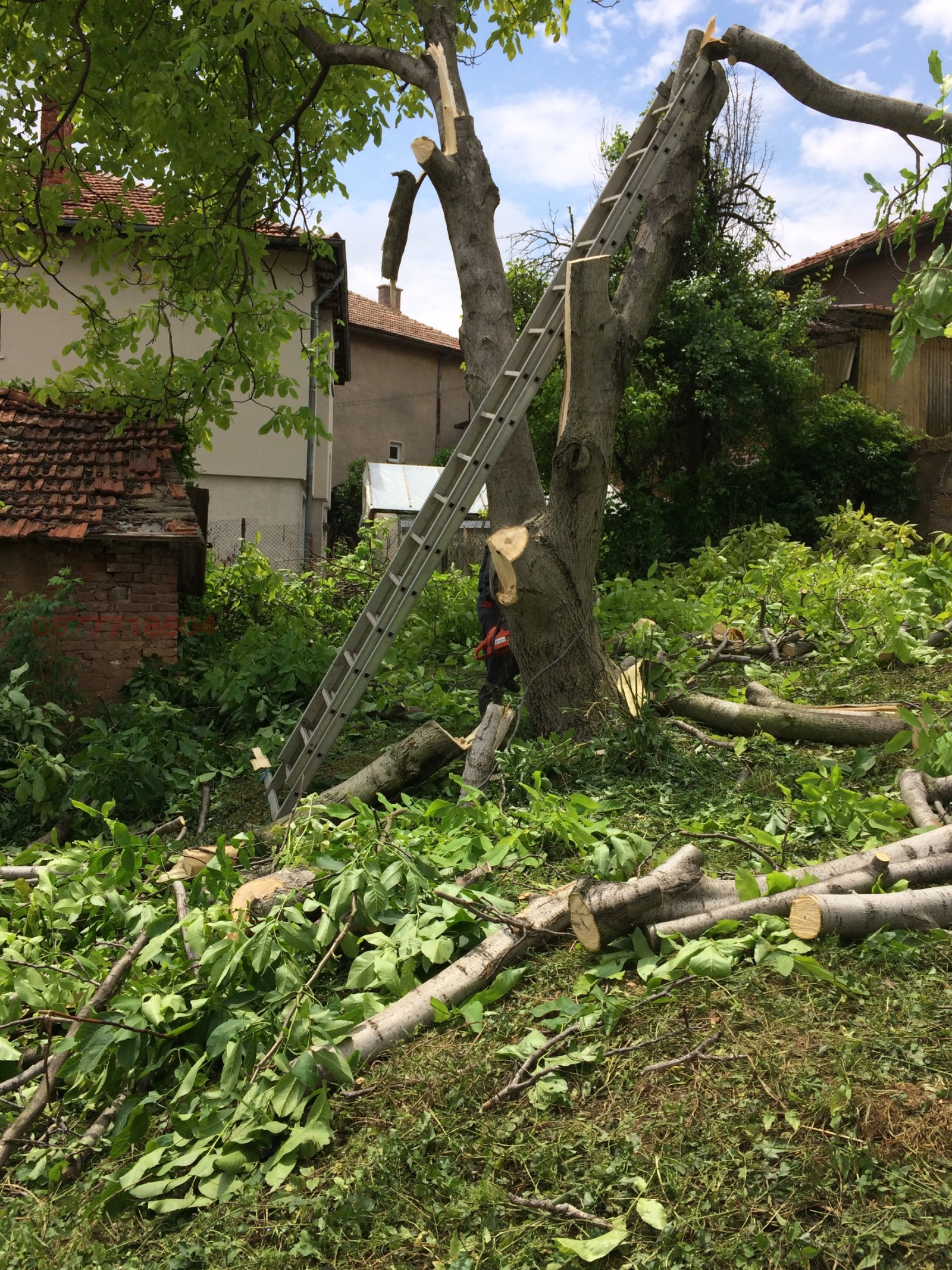 ������� ������ | Imot.bg � ����������� 1