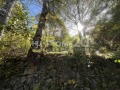 Продава ПАРЦЕЛ, град София, с. Владая • 75000 € • 28461145 — Holmes.bg