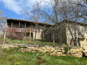 ����� ������� ����,�. �������, ������ ���������