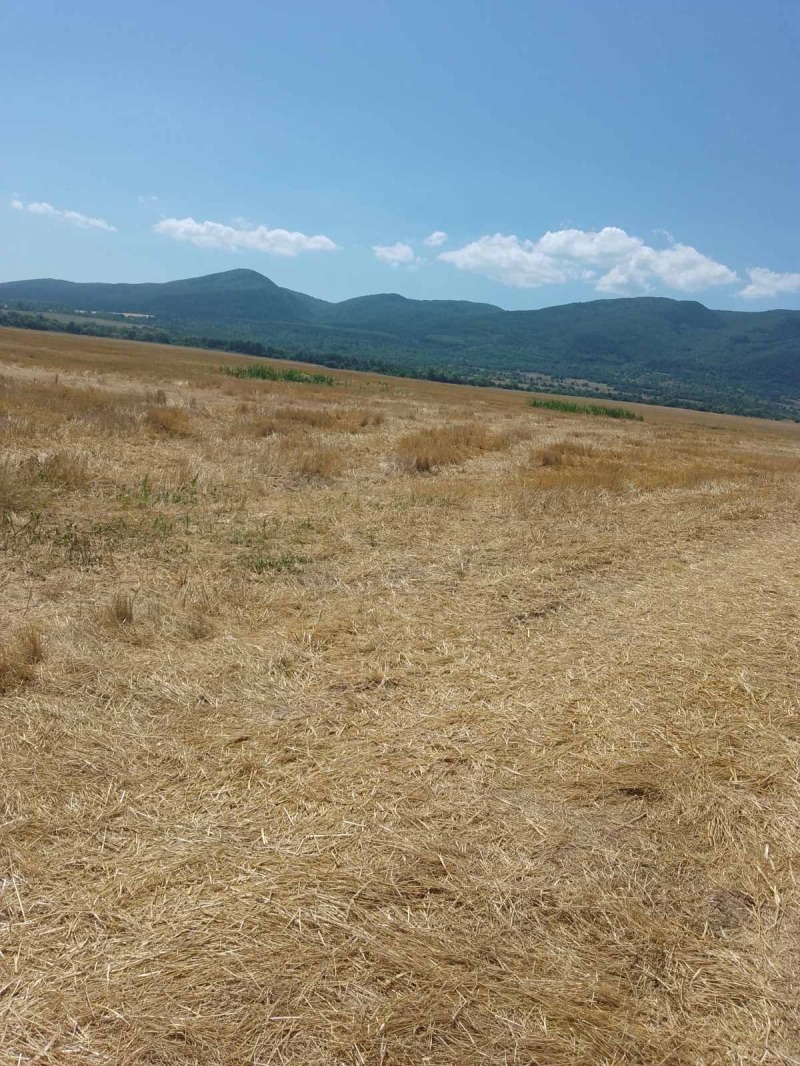 For Sale  Plot Sofia , Tsentar , 8000 sq.m | 56807482 - image [11]