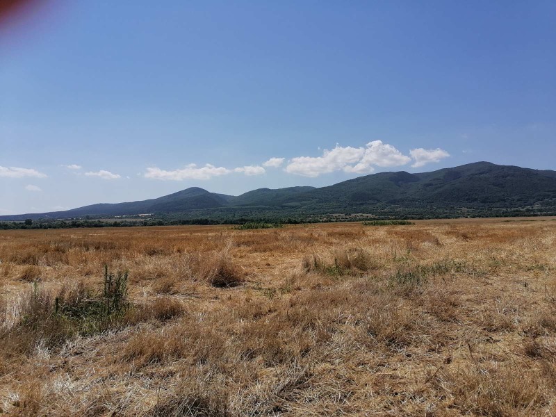 For Sale  Plot Sofia , Tsentar , 8000 sq.m | 56807482 - image [5]