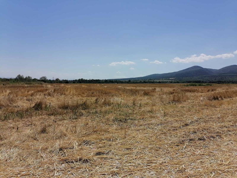 For Sale  Plot Sofia , Tsentar , 8000 sq.m | 56807482 - image [6]