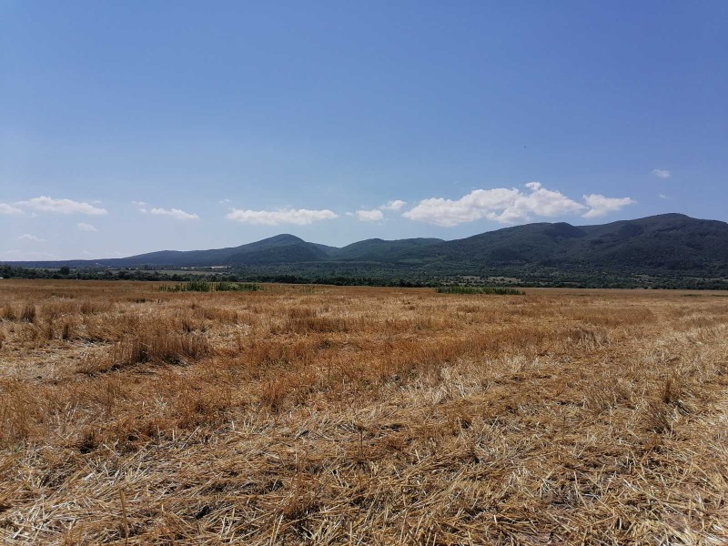 For Sale  Plot Sofia , Tsentar , 8000 sq.m | 56807482