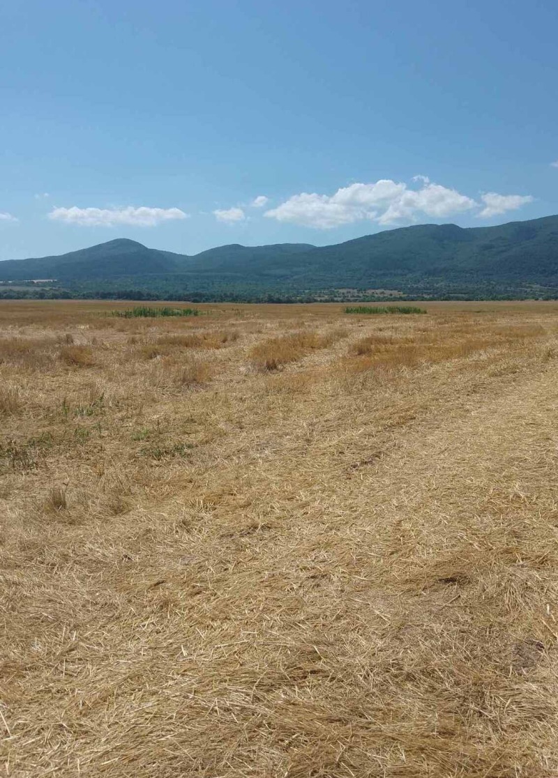 For Sale  Plot Sofia , Tsentar , 8000 sq.m | 56807482 - image [12]