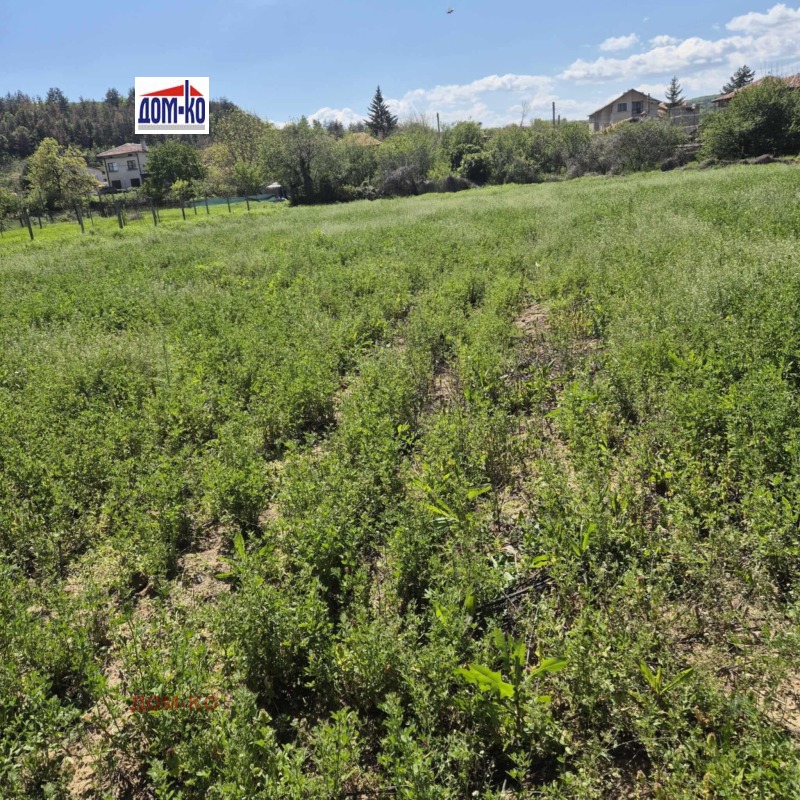Продава  Парцел, област Пазарджик, с. Калугерово • 35 000 лв. • ID 30576695 — holmes.bg - [1] 
