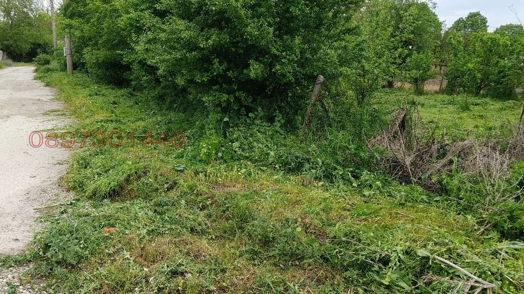 Продава ПАРЦЕЛ, с. Ягнило, област Варна, снимка 5 - Парцели - 56496685