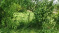 Продава ПАРЦЕЛ, с. Ягнило, област Варна, снимка 8
