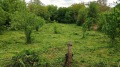 Продава  Парцел област Варна , с. Ягнило , 600 кв.м | 72428951