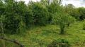 Продава  Парцел област Варна , с. Ягнило , 600 кв.м | 72428951 - изображение [3]