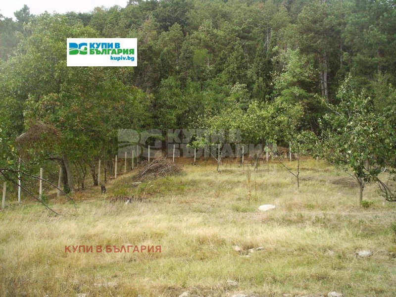 Продава ПАРЦЕЛ в град Варна, м-т Франга Дере - 1222 кв.м / 47 000 € » 91 924.01 лв., КУПИ В БЪЛГАРИЯ