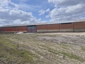 ������ ������� �����