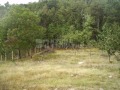 Продава ПАРЦЕЛ, град Варна, м-т Франга Дере • 52000 € • 88774171 — Holmes.bg